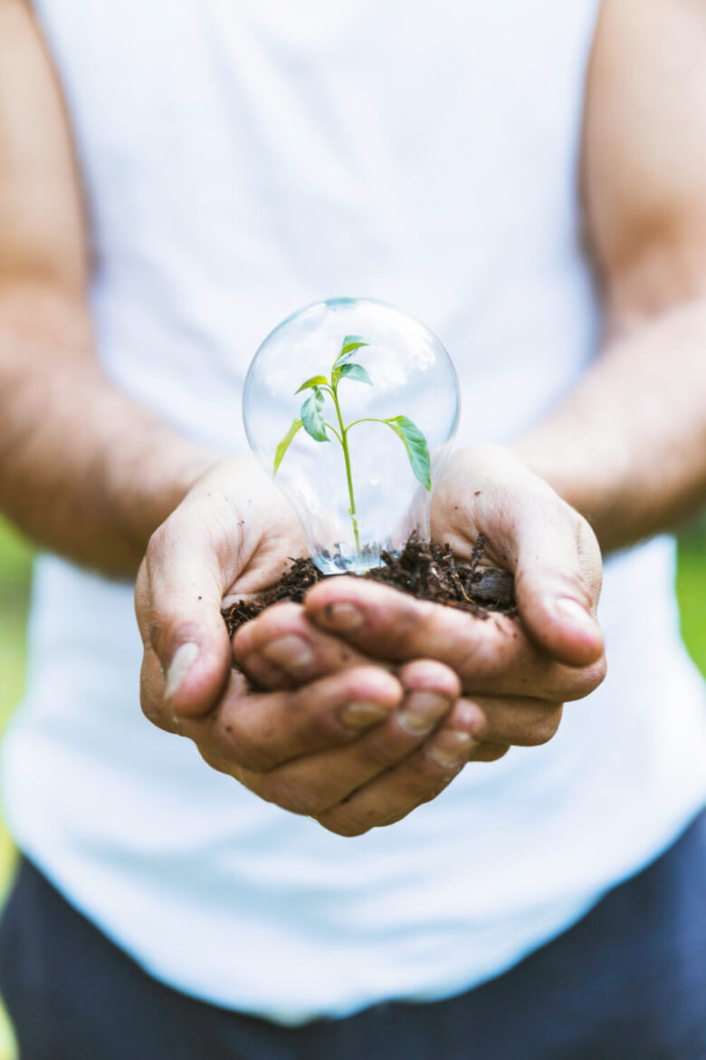 Escolhas Ecológicas: como Economizar Energia, sustentabilidade, meio ambiente,