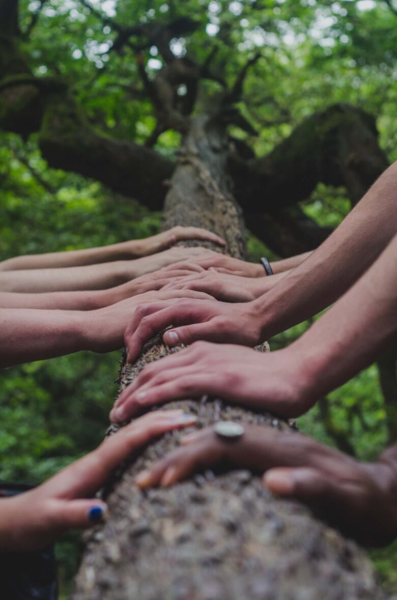 O que podemos fazer em favor do Clima, mudanças climáticas, estilo de vida, veganismo, sustentabilidade, clima, natureza